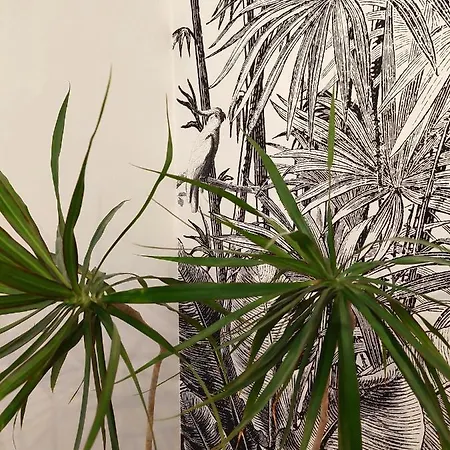 Апартаменти Charming In Private At Graca